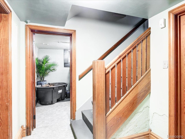 1313 Wall St, Port Huron, MI 48060 - stairs featuring carpet floors