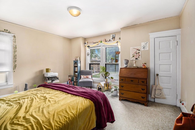 936 W Kalamazoo Ave, Kalamazoo, MI 49007 - view of carpeted bedroom