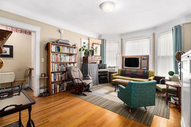 936 W Kalamazoo Ave, Kalamazoo, MI 49007 - living area featuring light wood-style floors and plenty of natural light