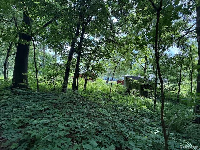 3103 Roush Rd, Hastings, MI 49058 - view of undeveloped land