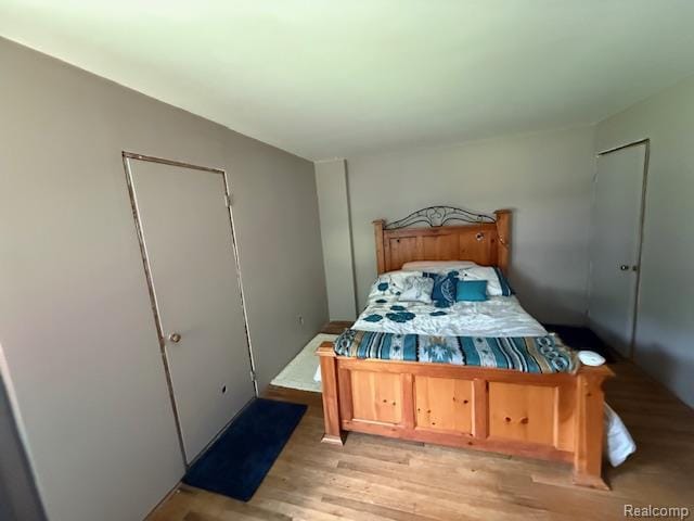 3103 Roush Rd, Hastings, MI 49058 - bedroom with light wood-style flooring