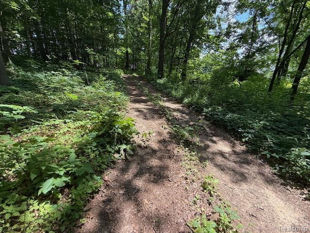3103 Roush Rd, Hastings, MI 49058 - view of street
