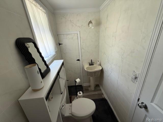 3103 Roush Rd, Hastings, MI 49058 - bathroom with healthy amount of natural light, tile walls, and ornamental molding