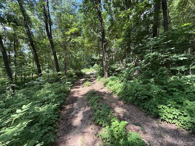 3103 Roush Rd, Hastings, MI 49058 - view of tree filled area