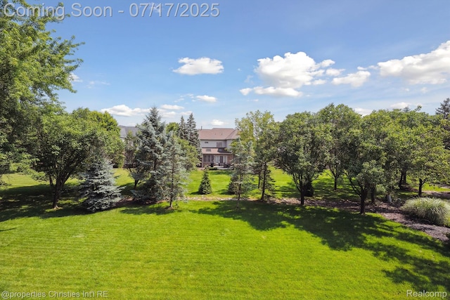 45922 Riviera Dr, Northville, MI 48168 - photo 66