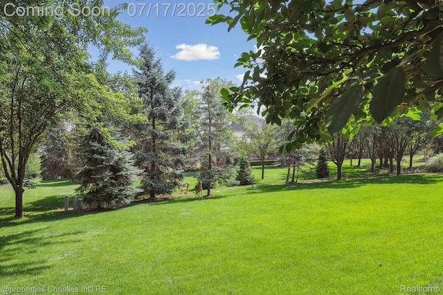 45922 Riviera Dr, Northville, MI 48168 - photo 65
