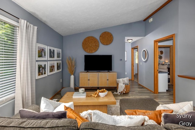11200 Ivory Valley Dr NE, Rockford, MI 49341 - living room with wood finished floors and lofted ceiling