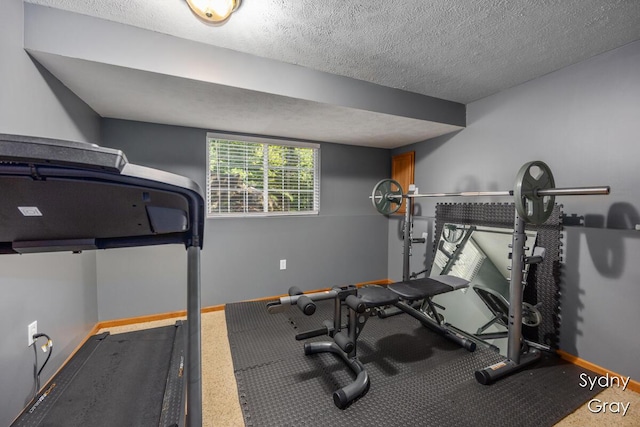 11200 Ivory Valley Dr NE, Rockford, MI 49341 - workout room with baseboards and a textured ceiling