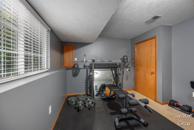 11200 Ivory Valley Dr NE, Rockford, MI 49341 - workout room featuring a textured ceiling