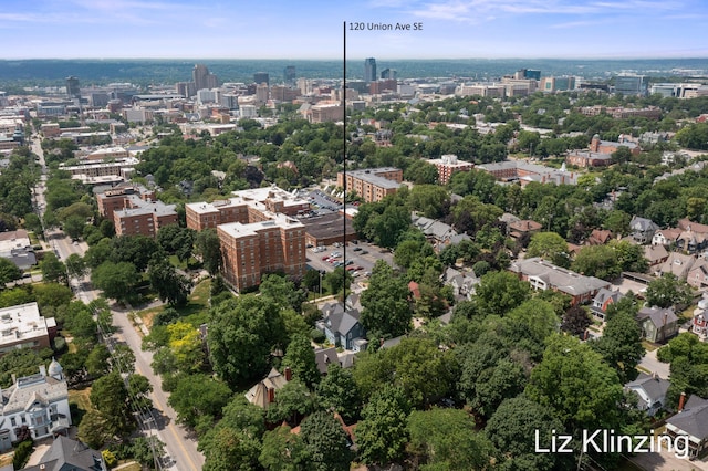 120 Union Ave SE, Grand Rapids, MI 49503 - view of urban area