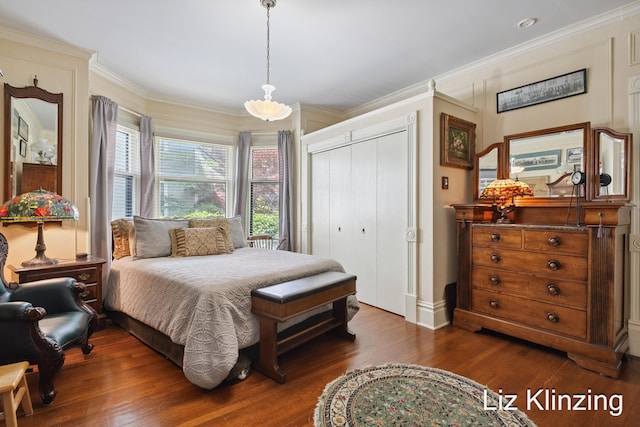 120 Union Ave SE, Grand Rapids, MI 49503 - bedroom featuring dark wood-type flooring, a closet, and crown molding