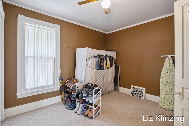 120 Union Ave SE, Grand Rapids, MI 49503 - misc room with carpet floors, ceiling fan, and crown molding