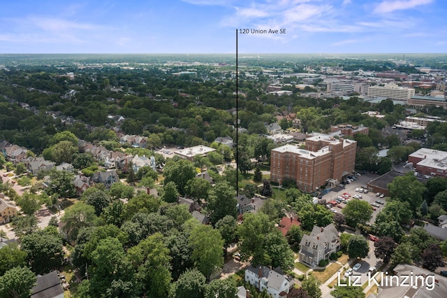 120 Union Ave SE, Grand Rapids, MI 49503 - bird's eye view