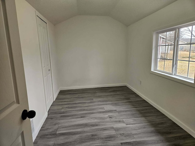 538 Whitney Ave, Morenci, MI 49256 - unfurnished bedroom with vaulted ceiling and dark wood-style floors