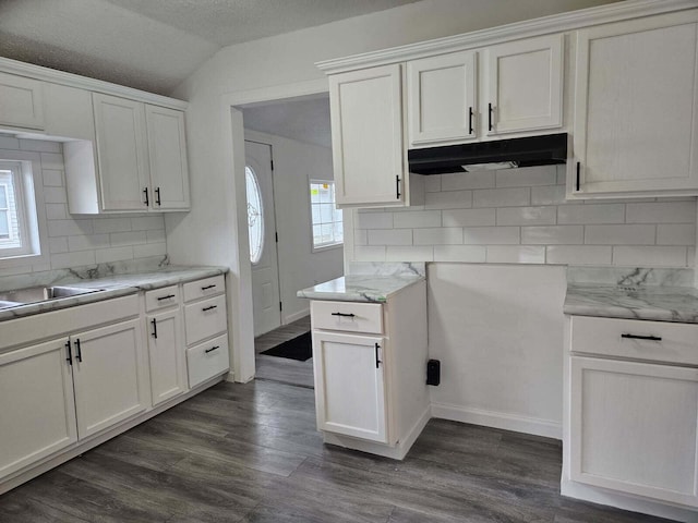 538 Whitney Ave, Morenci, MI 49256 - kitchen with under cabinet range hood, lofted ceiling, tasteful backsplash, white cabinetry, and dark wood-type flooring