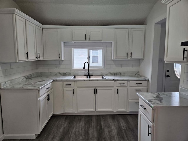 538 Whitney Ave, Morenci, MI 49256 - kitchen featuring dark wood-type flooring, white cabinets, and decorative backsplash