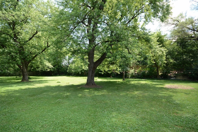 2357 River St, Kalamazoo, MI 49048 - view of green lawn
