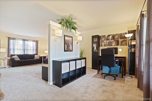 622 W Schleier St, Frankenmuth, MI 48734 - office with carpet and ornamental molding