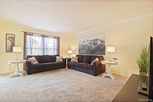 622 W Schleier St, Frankenmuth, MI 48734 - living room with carpet and crown molding