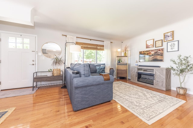 2041 Norfolk Ave, Ann Arbor, MI 48103 - living room featuring light wood-style flooring