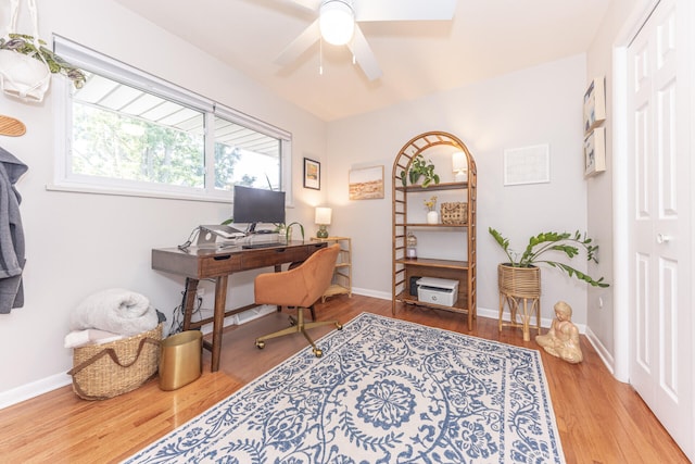 2041 Norfolk Ave, Ann Arbor, MI 48103 - office space with ceiling fan and wood finished floors