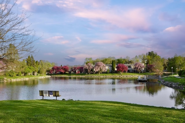 609 Watersedge Dr, Ann Arbor, MI 48105 - water view
