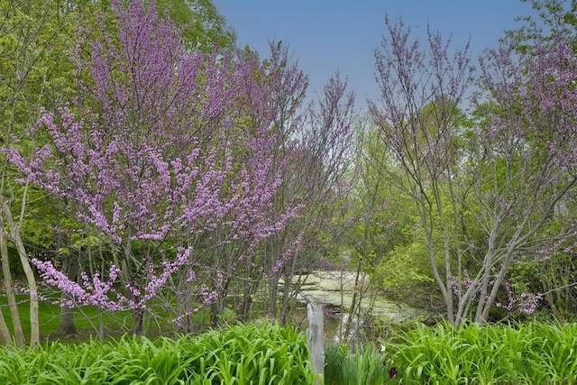 609 Watersedge Dr, Ann Arbor, MI 48105 - view of nature
