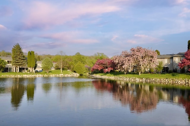 609 Watersedge Dr, Ann Arbor, MI 48105 - water view