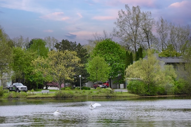 609 Watersedge Dr, Ann Arbor, MI 48105 - water view