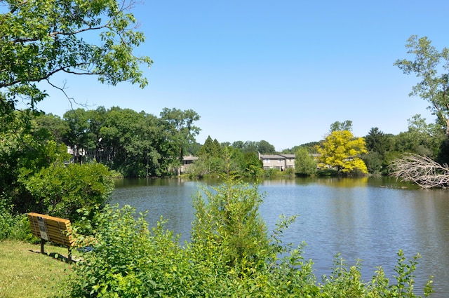 609 Watersedge Dr, Ann Arbor, MI 48105 - water view