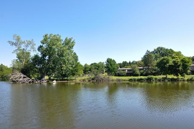609 Watersedge Dr, Ann Arbor, MI 48105 - water view