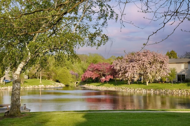 609 Watersedge Dr, Ann Arbor, MI 48105 - water view