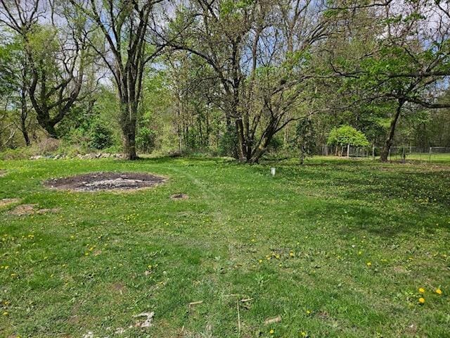 4084 Seneca St, Weston, MI 49289 - view of green lawn