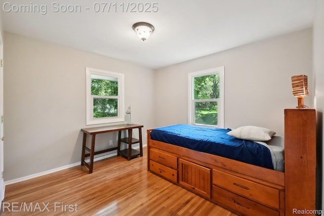 5910 Hillsboro Rd, Davisburg, MI 48350 - bedroom featuring multiple windows and light wood-style floors