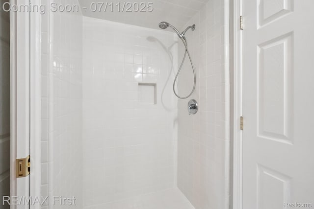5910 Hillsboro Rd, Davisburg, MI 48350 - bathroom with a tile shower