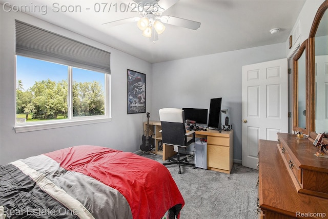 790 Vivian Ln, Oxford, MI 48371 - photo 22