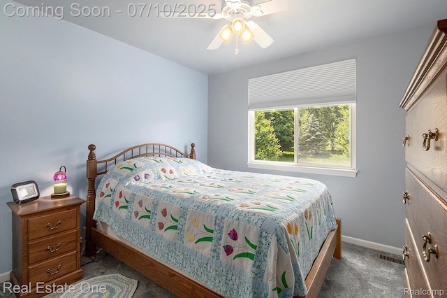 790 Vivian Ln, Oxford, MI 48371 - photo 24