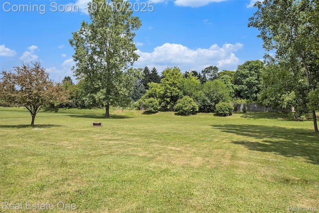 790 Vivian Ln, Oxford, MI 48371 - photo 31