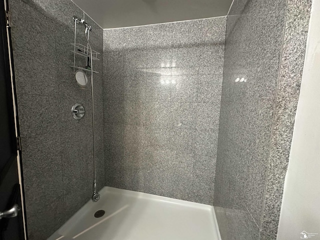 10931 Telegraph Rd, Erie, MI 48133 - bathroom with tiled shower