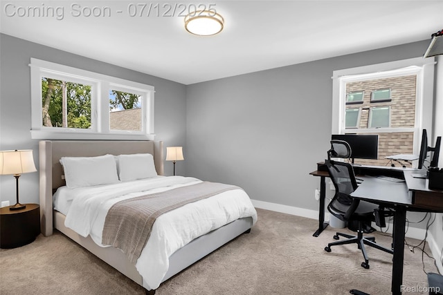 1212 Royal Ave, Royal Oak, MI 48073 - bedroom featuring carpet floors and a desk