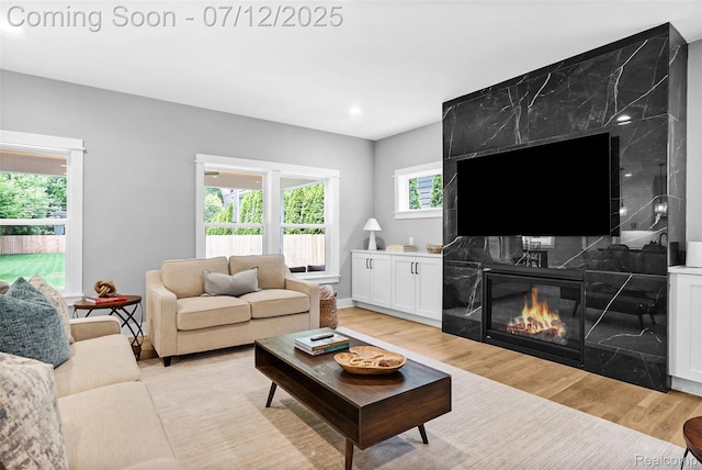 1212 Royal Ave, Royal Oak, MI 48073 - living room with light wood-type flooring, recessed lighting, and a premium fireplace