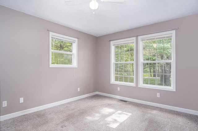 11215 W Harlow Rd, Greenville, MI 48838 - photo 12