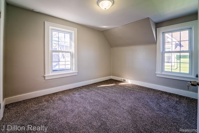 959 Washtenaw Rd, Ypsilanti, MI 48197 - additional living space featuring carpet floors and lofted ceiling