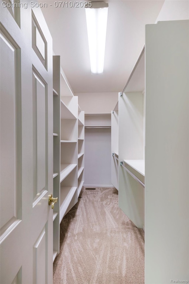 6161 Golfside Ct, Grand Blanc, MI 48439 - spacious closet with carpet flooring