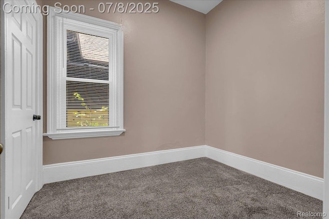 1023 Dragoon St, Detroit, MI 48209 - photo 23