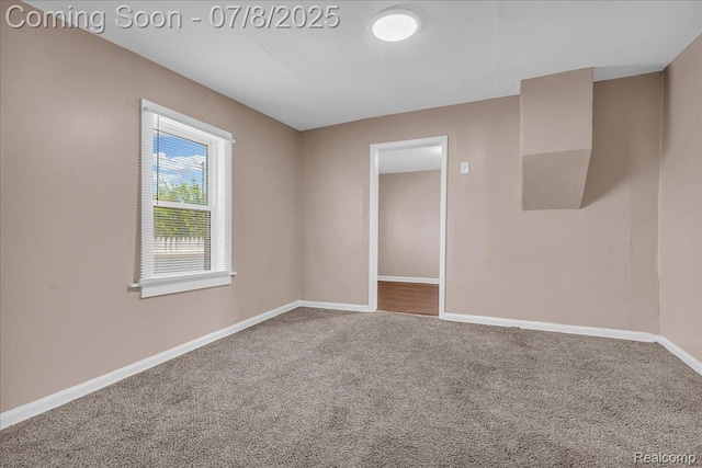 1023 Dragoon St, Detroit, MI 48209 - photo 11