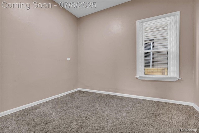 1023 Dragoon St, Detroit, MI 48209 - photo 21