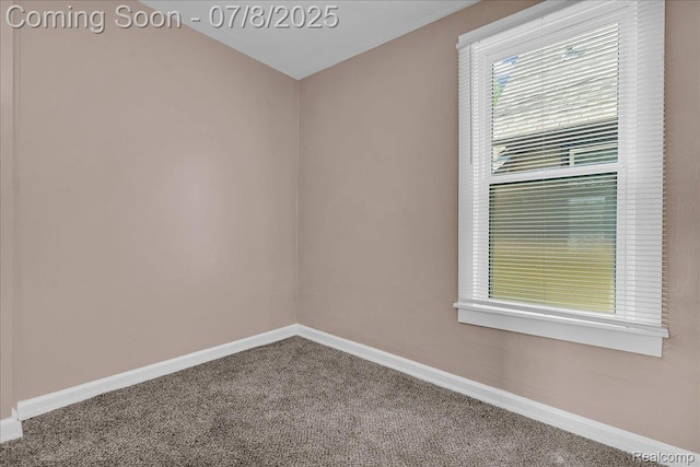 1023 Dragoon St, Detroit, MI 48209 - photo 19