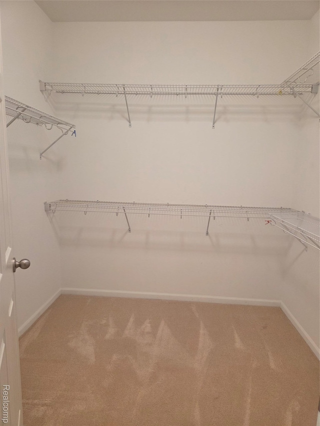 2181 E Shore Dr, Rochester Hills, MI 48307 - spacious closet with light colored carpet