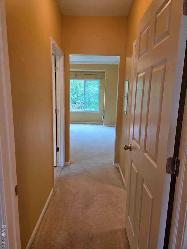 2181 E Shore Dr, Rochester Hills, MI 48307 - hall featuring light carpet
